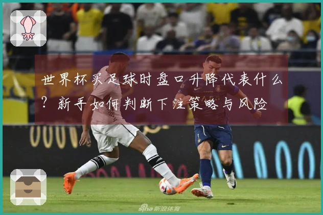 世界杯买足球时盘口升降代表什么？新手如何判断下注策略与风险