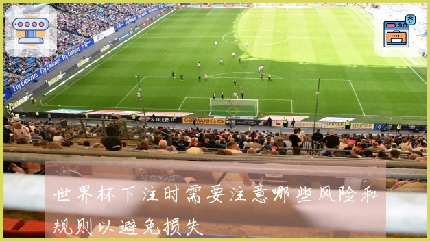 世界杯下注时需要注意哪些风险和规则以避免损失