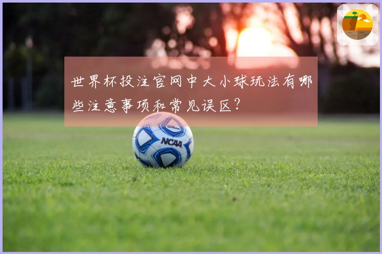 世界杯投注官网中大小球玩法有哪些注意事项和常见误区？