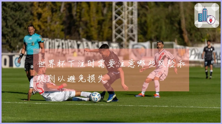 世界杯下注时需要注意哪些风险和规则以避免损失