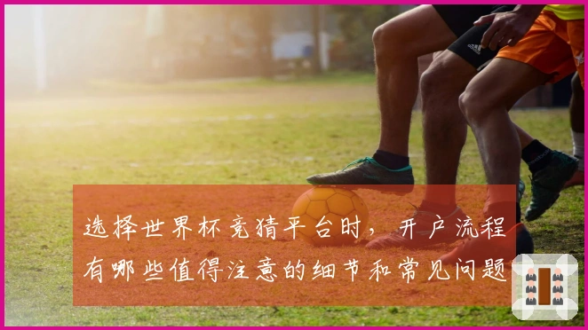 选择世界杯竞猜平台时，开户流程有哪些值得注意的细节和常见问题