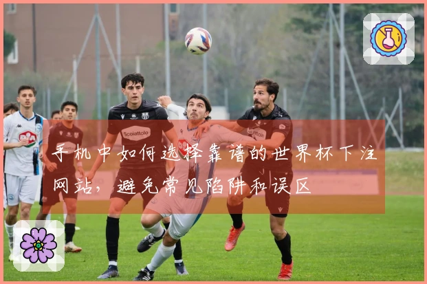 手机中如何选择靠谱的世界杯下注网站，避免常见陷阱和误区