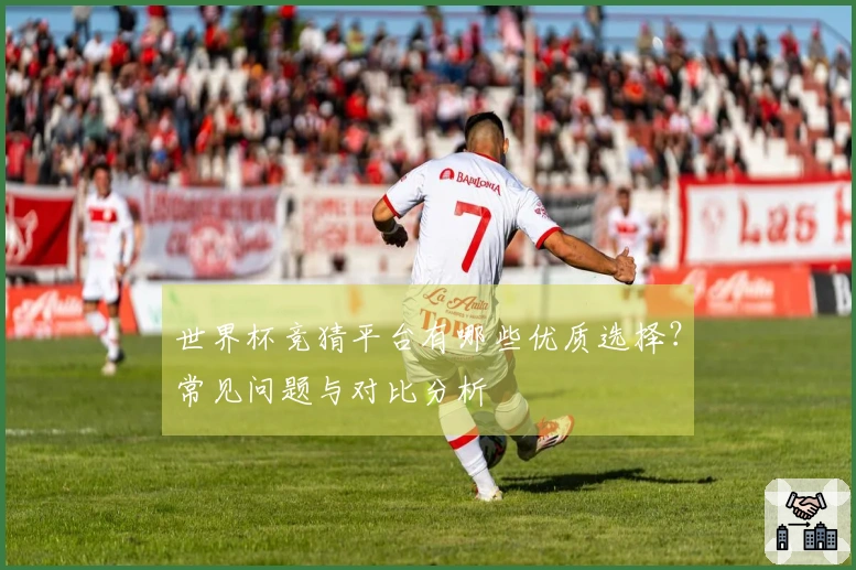 世界杯竞猜平台有哪些优质选择？常见问题与对比分析
